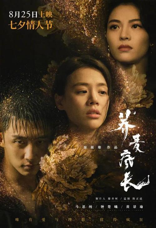 公证个人委托书多少钱